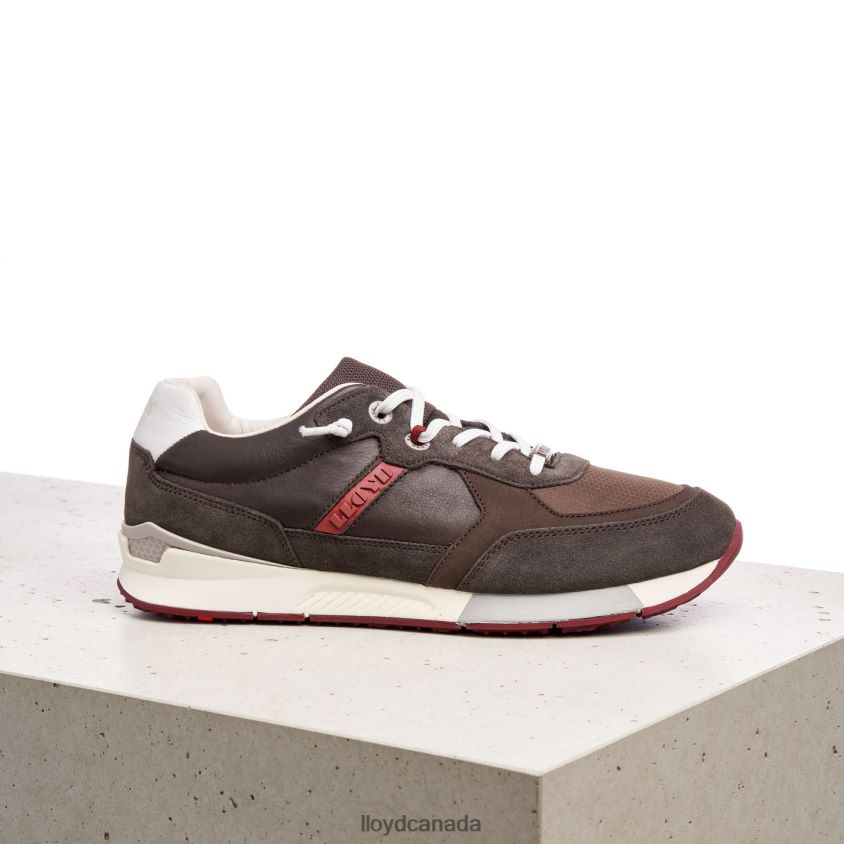 EGIDIO LLOYD Men brown R084ZF432 Shoes