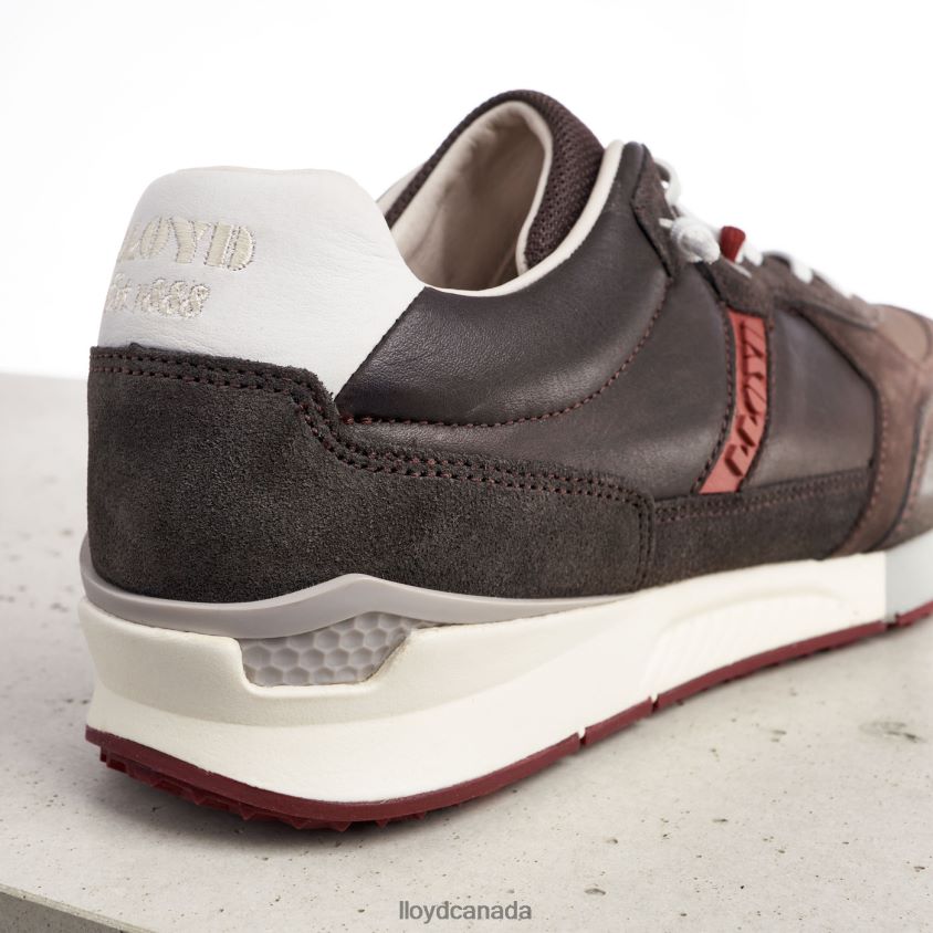 EGIDIO LLOYD Men brown R084ZF432 Shoes