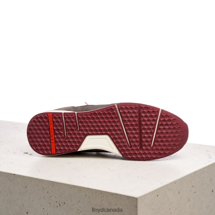 EGIDIO LLOYD Men brown R084ZF432 Shoes