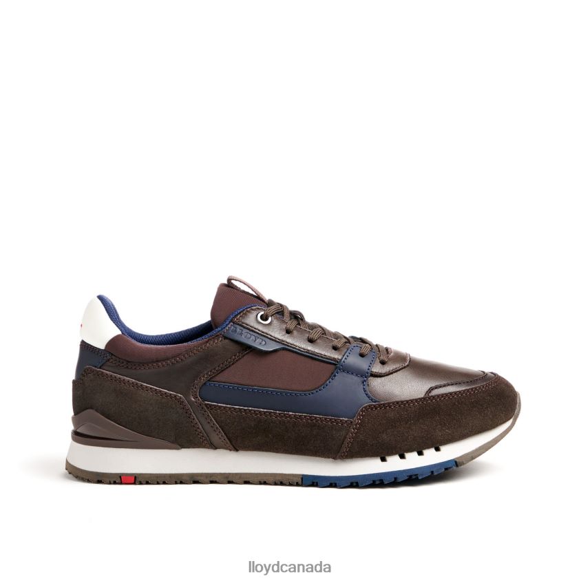 EIRON LLOYD Men brown R084ZF292 Shoes