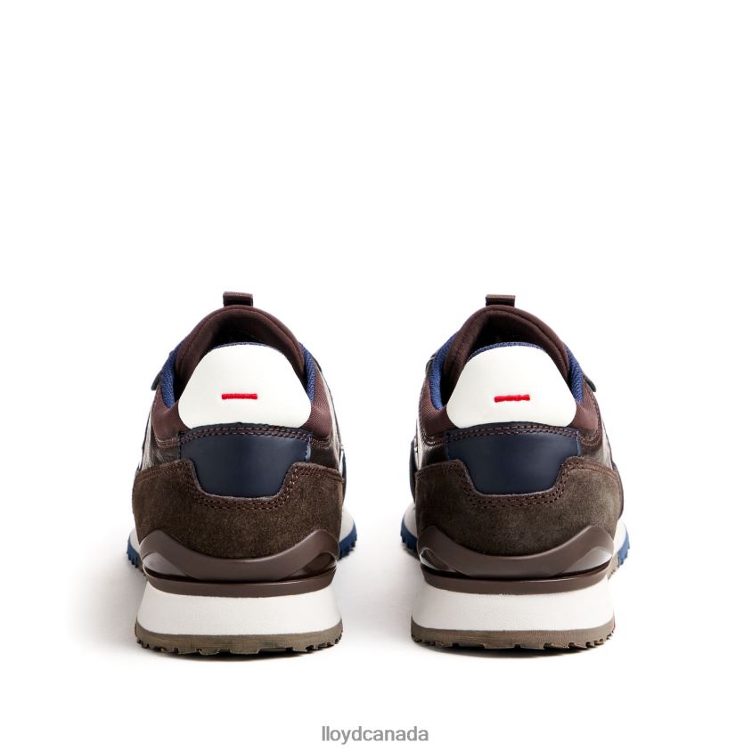 EIRON LLOYD Men brown R084ZF292 Shoes