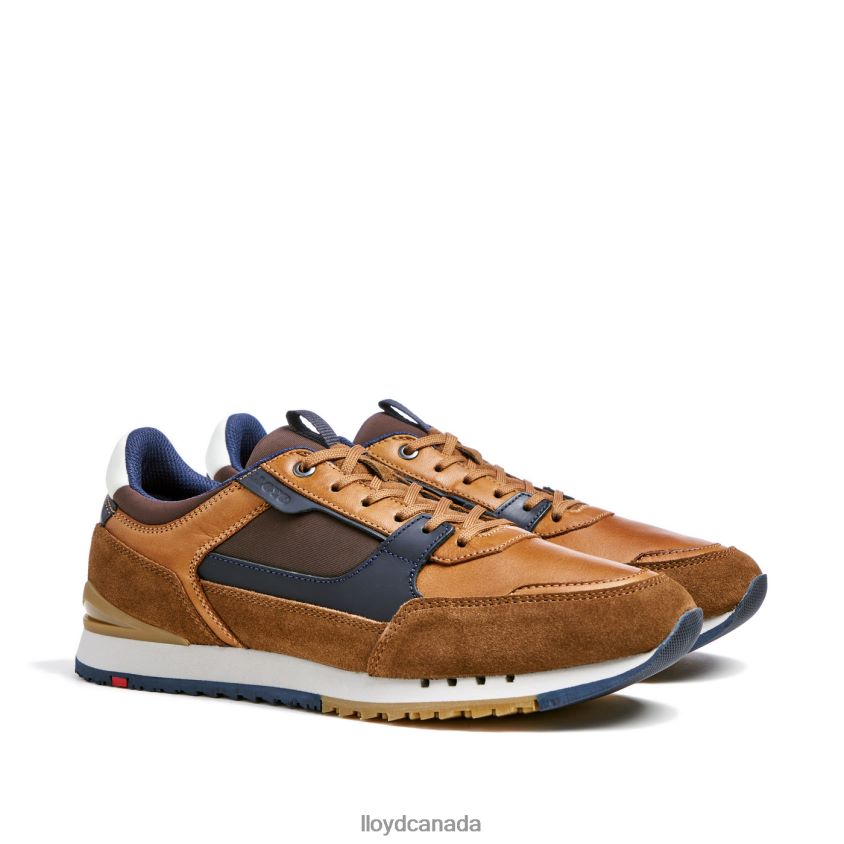 EIRON LLOYD Men brown R084ZF293 Shoes