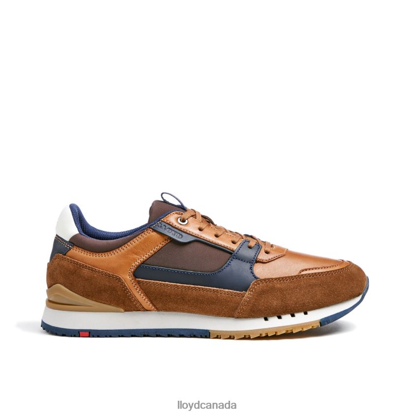 EIRON LLOYD Men brown R084ZF293 Shoes
