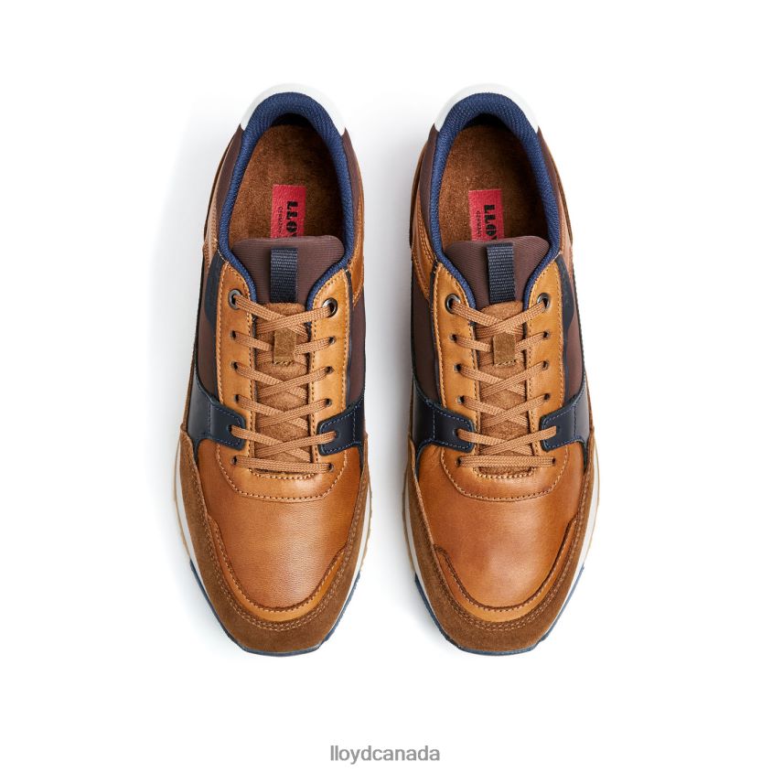 EIRON LLOYD Men brown R084ZF293 Shoes