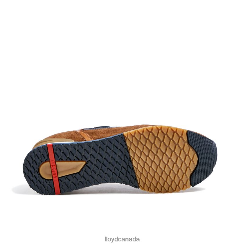 EIRON LLOYD Men brown R084ZF293 Shoes