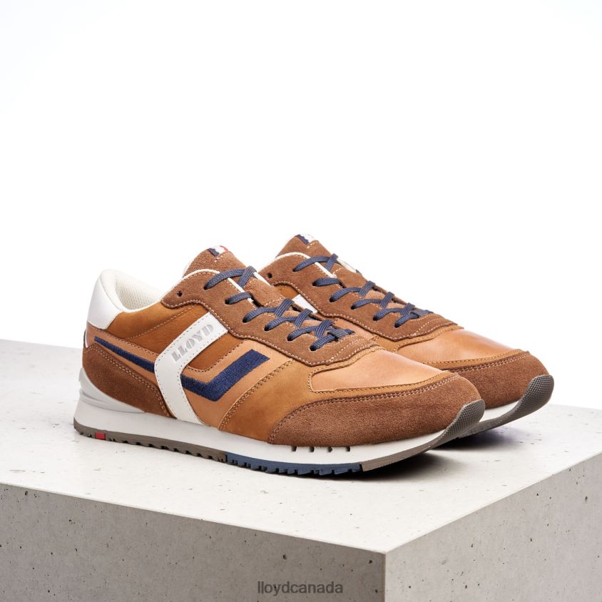 ELIO LLOYD Men brown R084ZF381 Shoes
