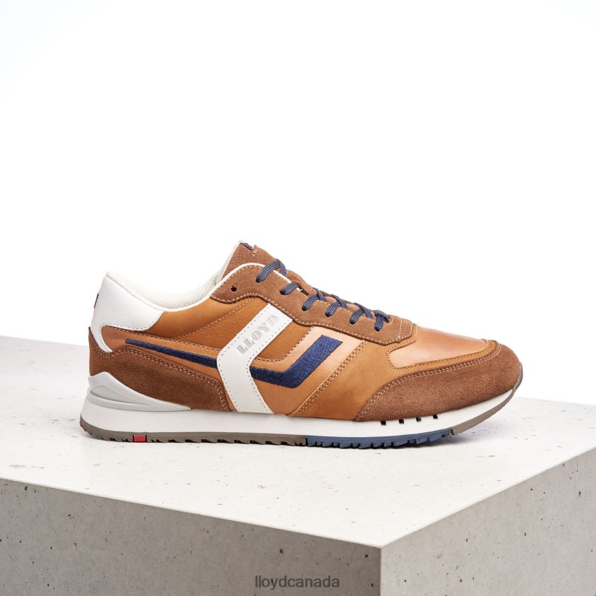 ELIO LLOYD Men brown R084ZF381 Shoes