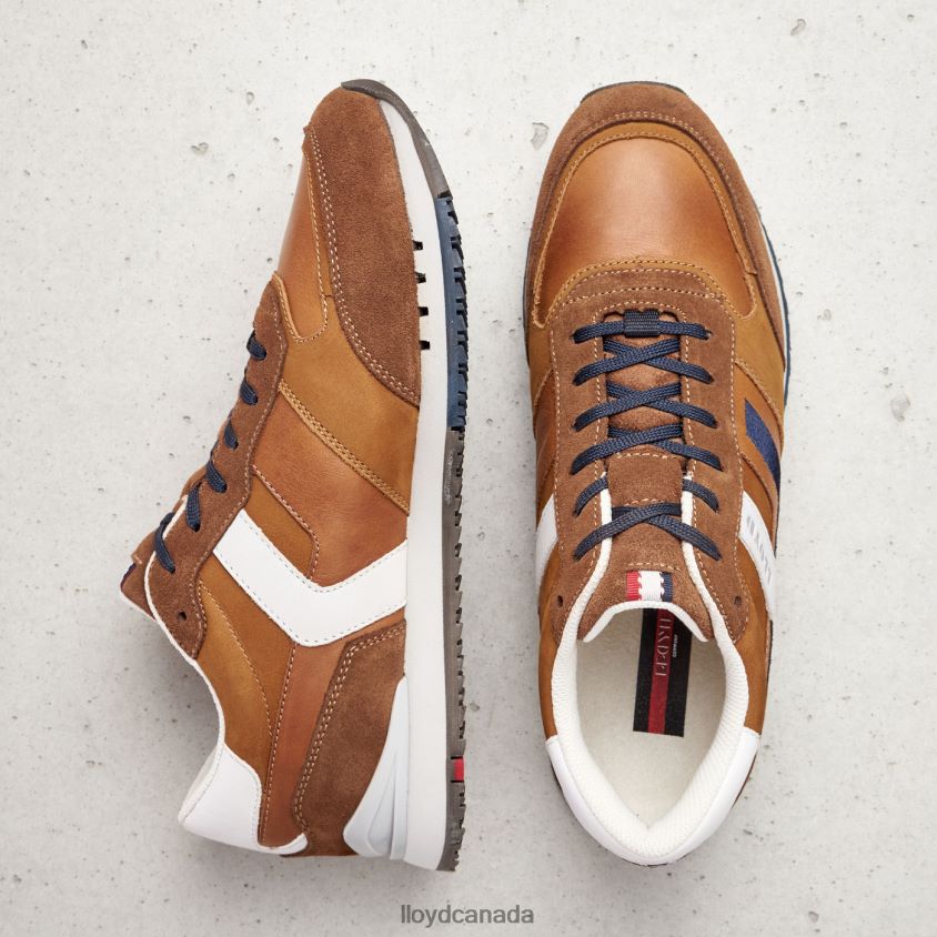 ELIO LLOYD Men brown R084ZF381 Shoes