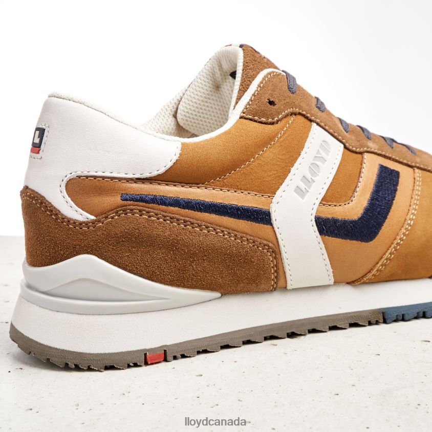 ELIO LLOYD Men brown R084ZF381 Shoes