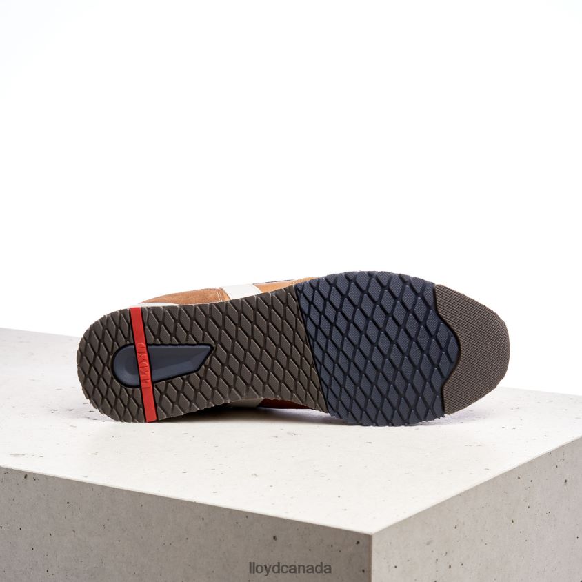 ELIO LLOYD Men brown R084ZF381 Shoes