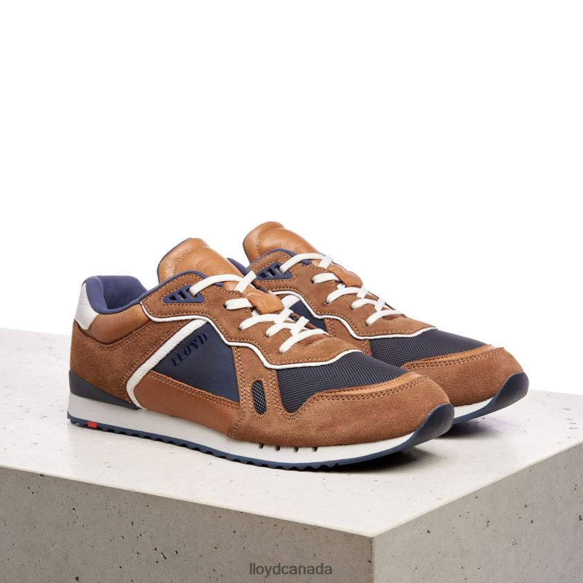 ELJA LLOYD Men brown R084ZF373 Shoes
