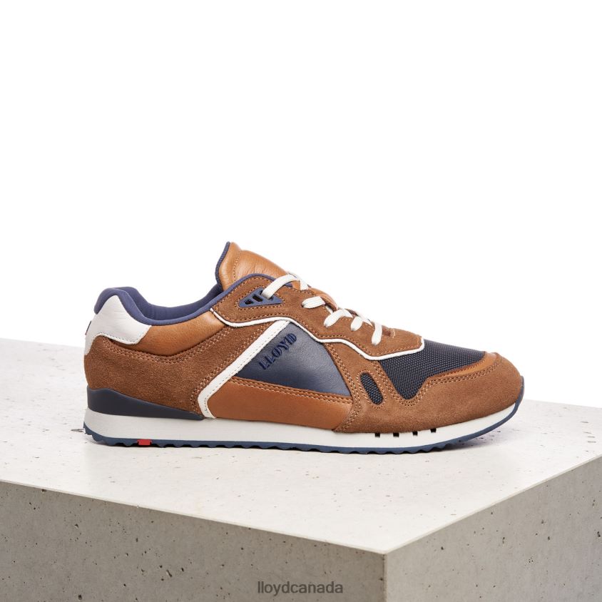ELJA LLOYD Men brown R084ZF373 Shoes