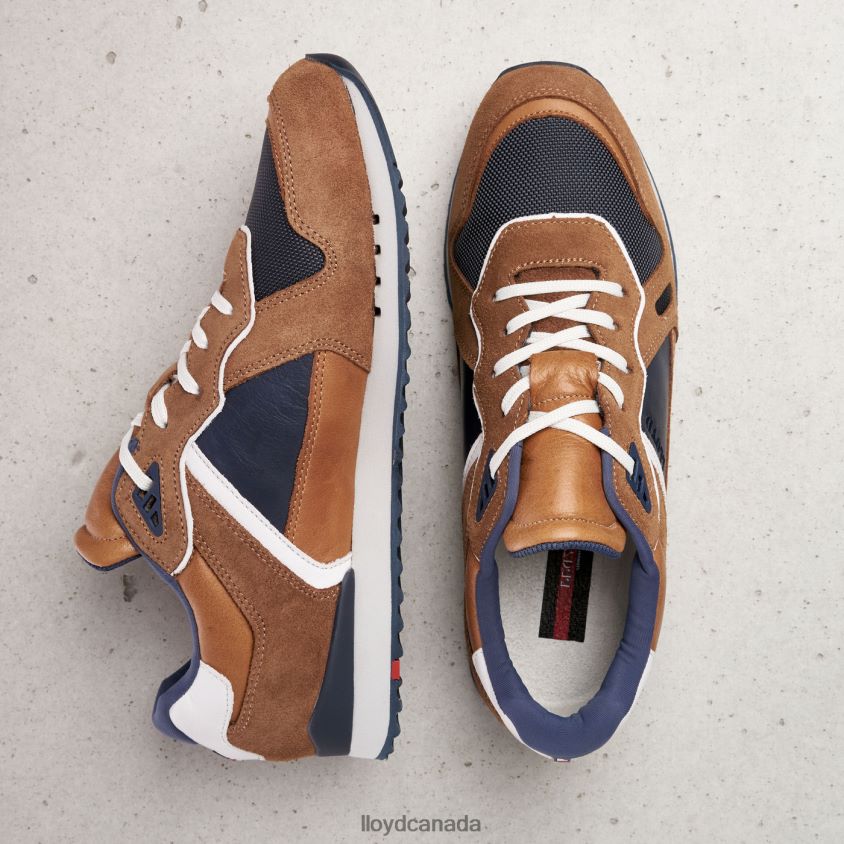 ELJA LLOYD Men brown R084ZF373 Shoes