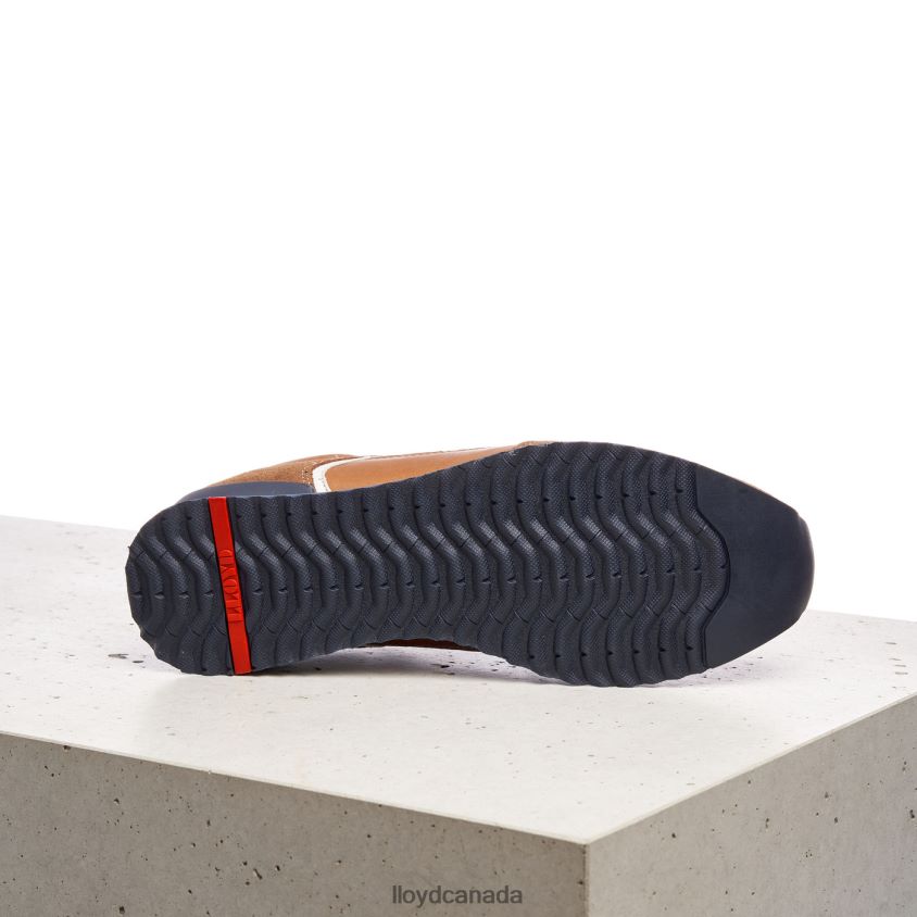 ELJA LLOYD Men brown R084ZF373 Shoes
