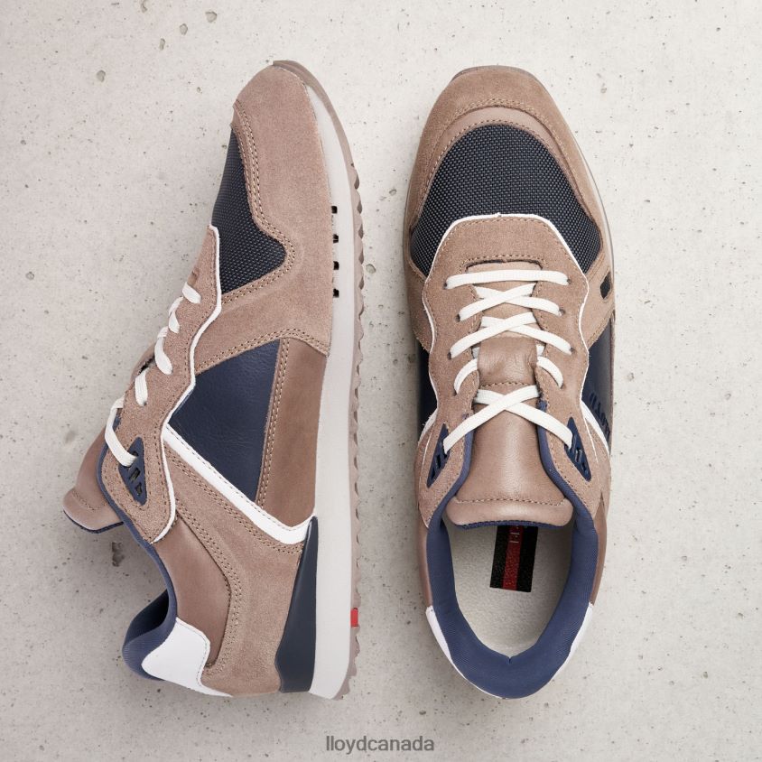 ELJA LLOYD Men brown R084ZF402 Shoes