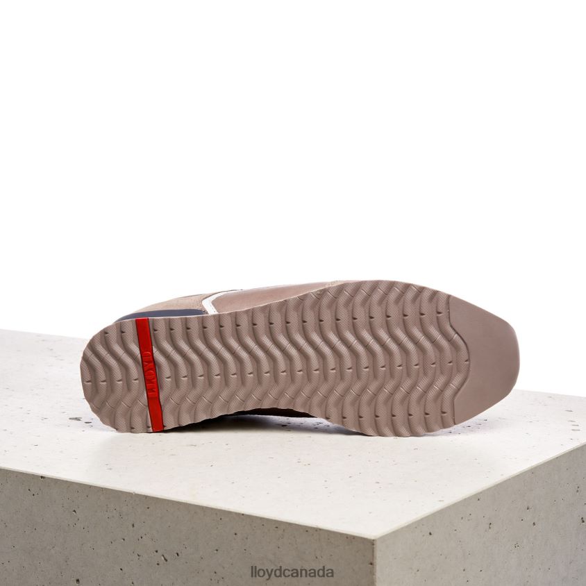 ELJA LLOYD Men brown R084ZF402 Shoes