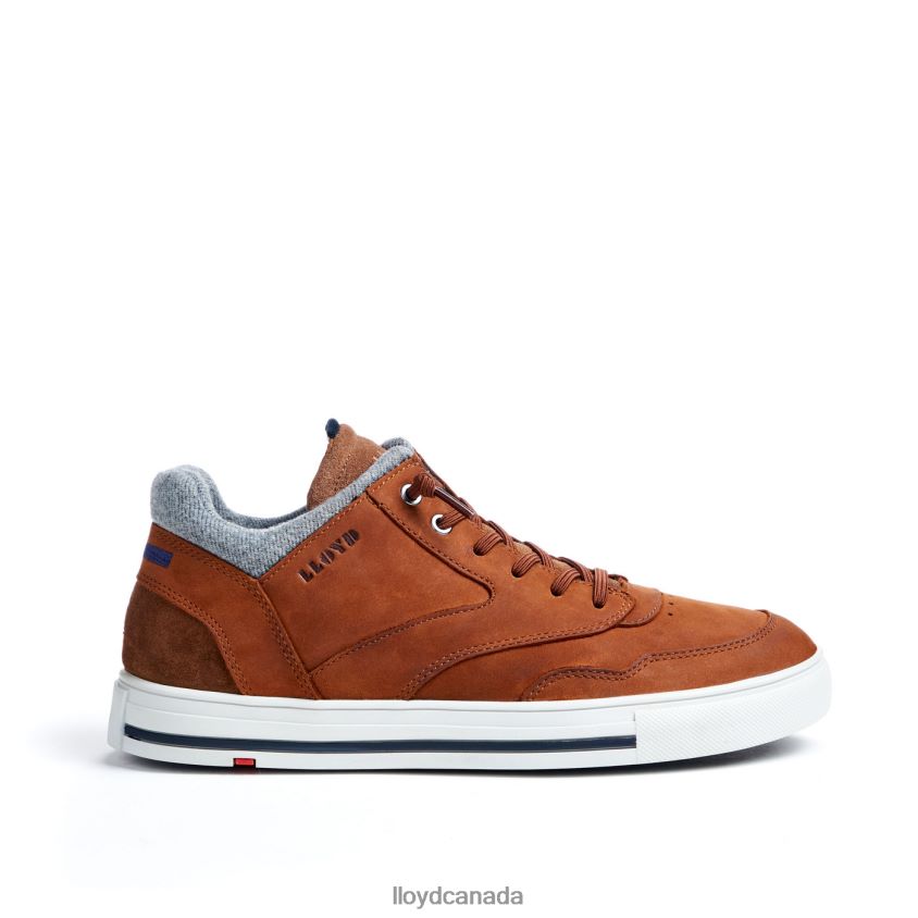 ELLISON LLOYD Men brown R084ZF316 Shoes