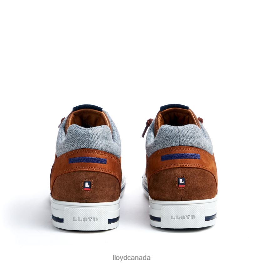 ELLISON LLOYD Men brown R084ZF316 Shoes