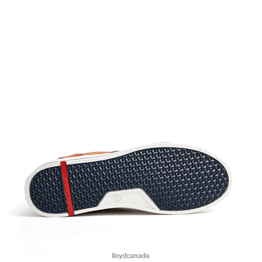 ELLISON LLOYD Men brown R084ZF316 Shoes