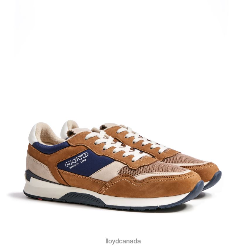 ELOY LLOYD Men brown R084ZF371 Shoes