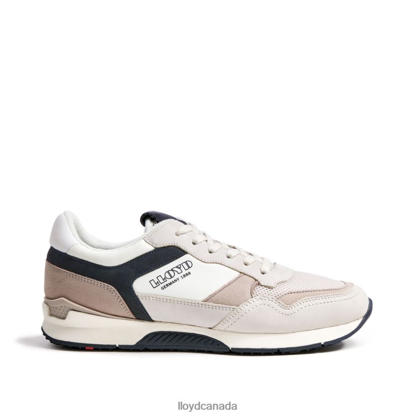 ELOY LLOYD Men brown R084ZF371 Shoes