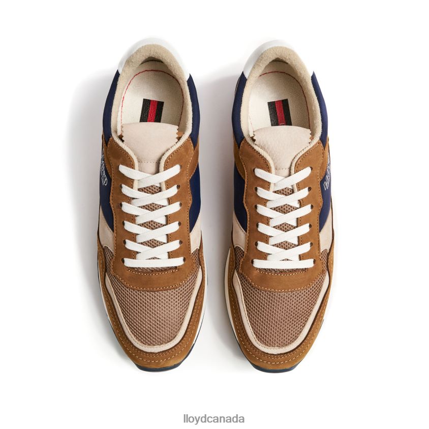 ELOY LLOYD Men brown R084ZF371 Shoes
