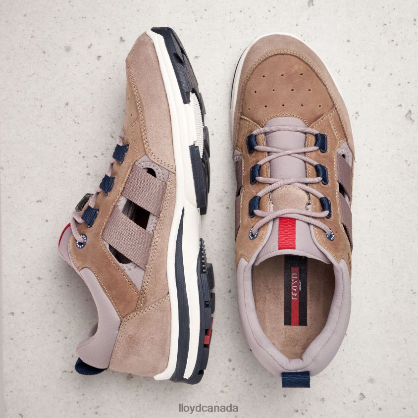 ELROY LLOYD Men brown R084ZF326 Shoes