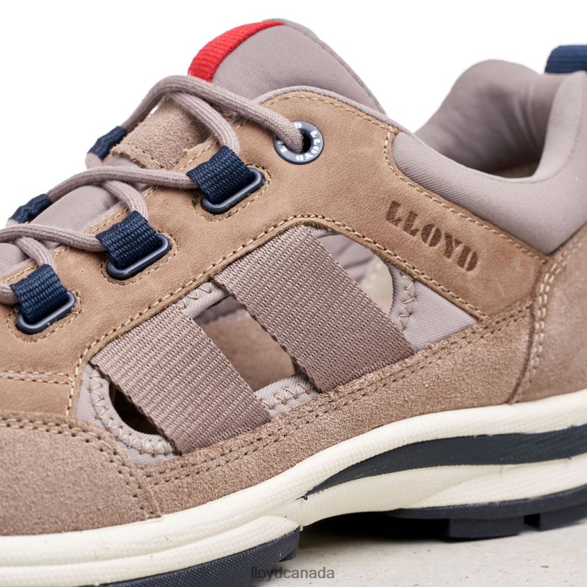 ELROY LLOYD Men brown R084ZF326 Shoes