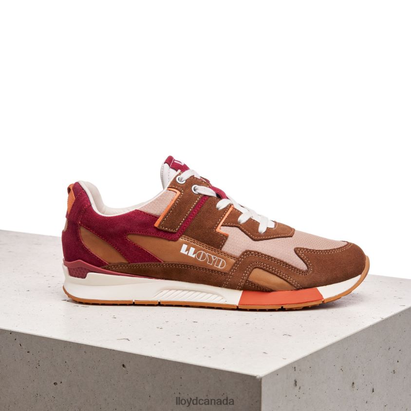 ELTON LLOYD Men brown R084ZF380 Shoes