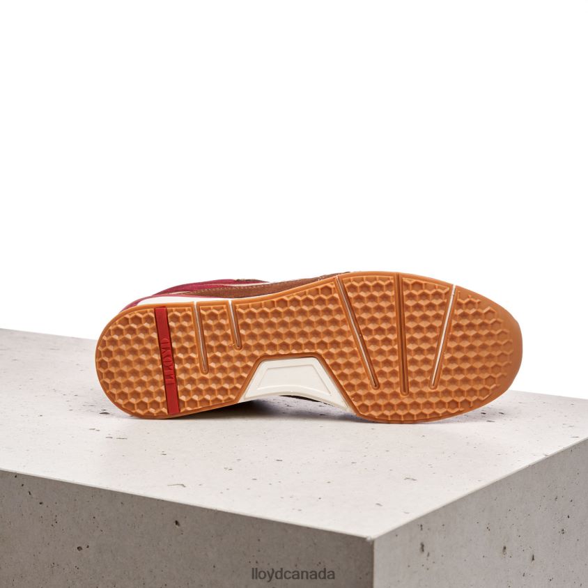 ELTON LLOYD Men brown R084ZF380 Shoes
