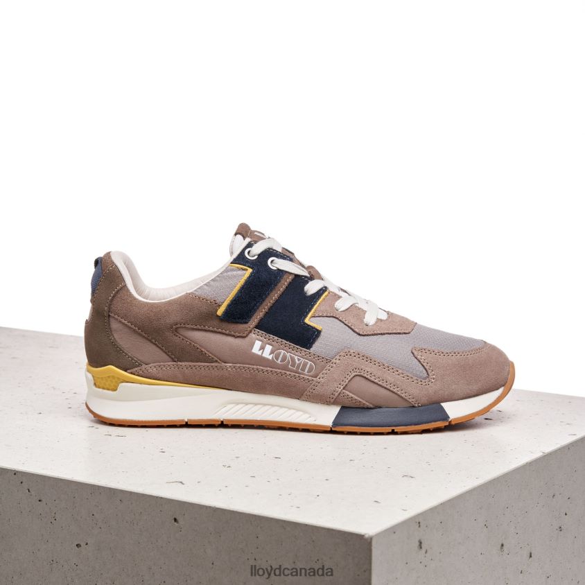 ELTON LLOYD Men brown R084ZF395 Shoes