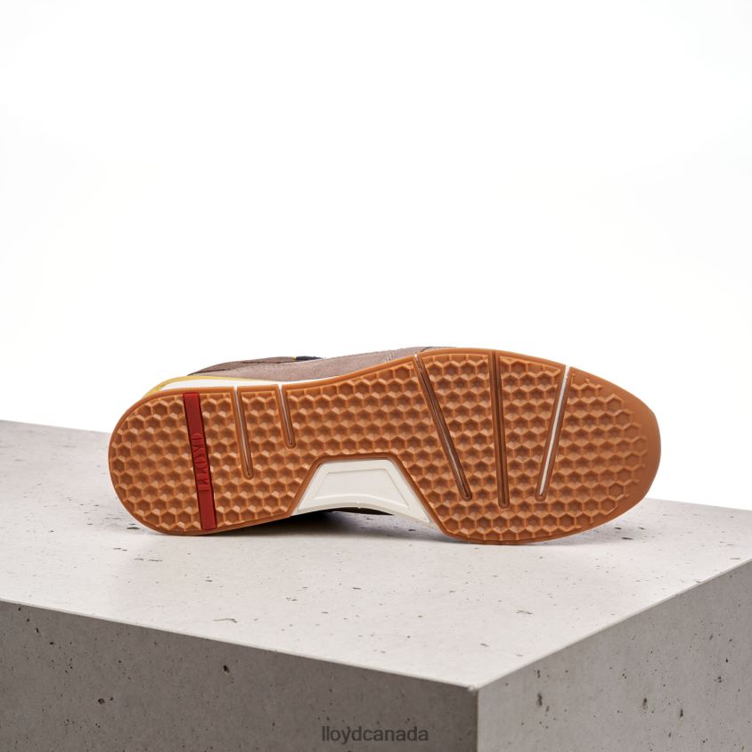 ELTON LLOYD Men brown R084ZF395 Shoes