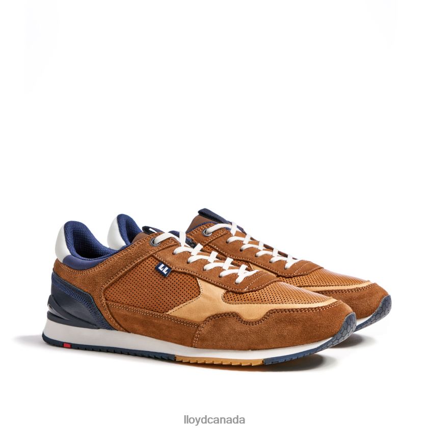 EMILIAN LLOYD Men brown R084ZF282 Shoes
