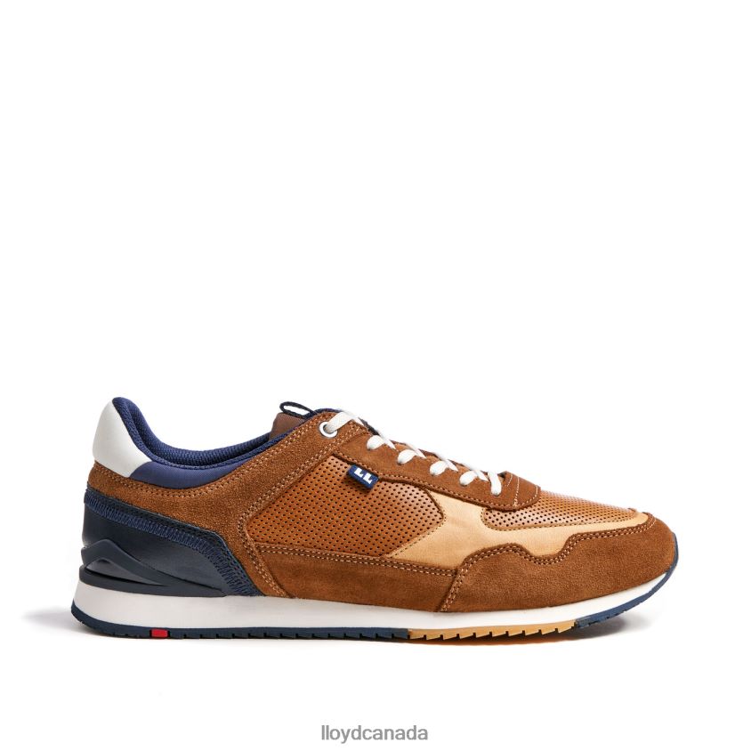 EMILIAN LLOYD Men brown R084ZF282 Shoes