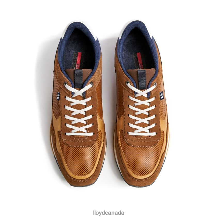 EMILIAN LLOYD Men brown R084ZF282 Shoes