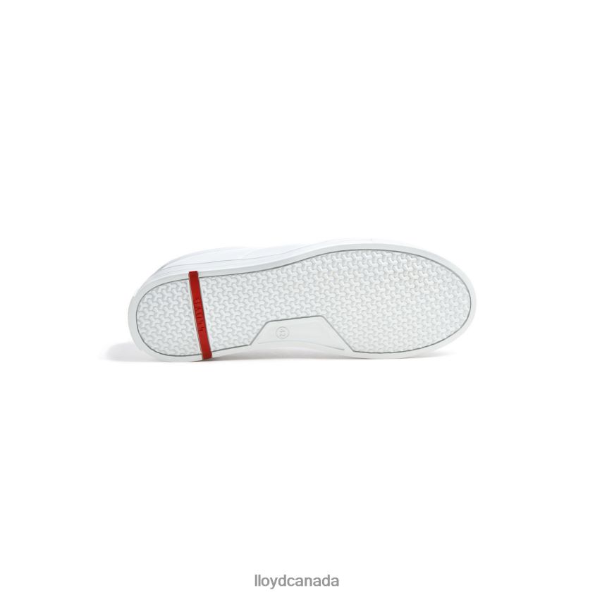 ENRICO LLOYD Men white R084ZF312 Shoes
