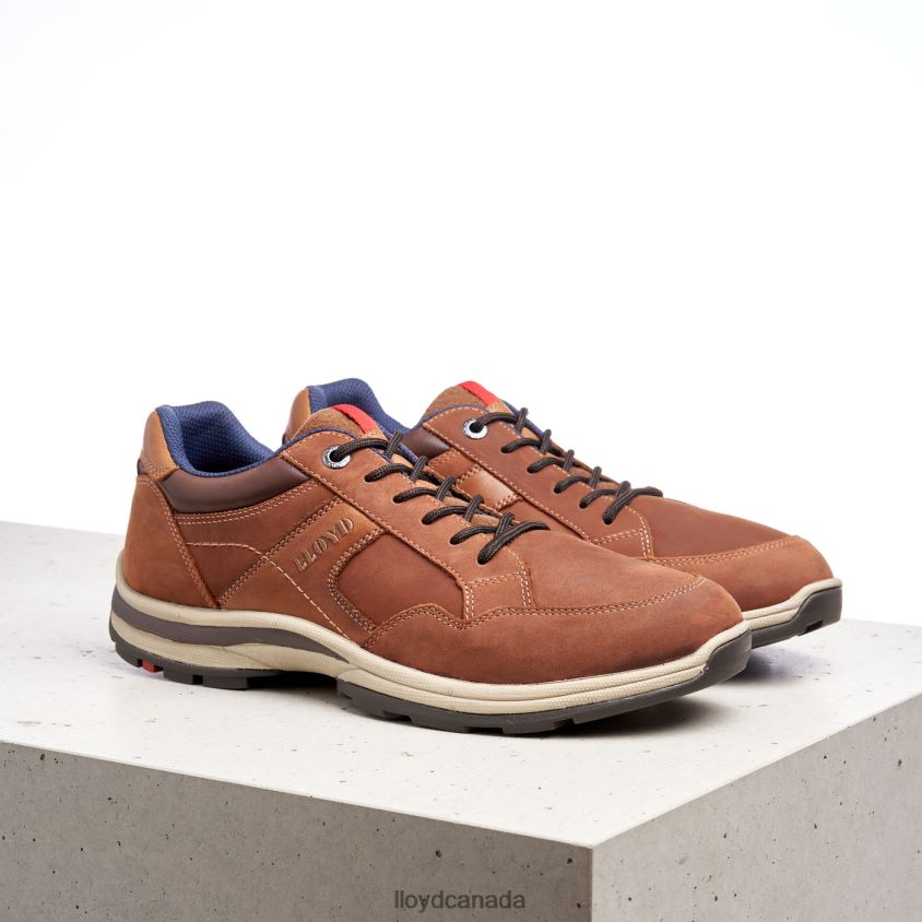ENSOR LLOYD Men brown R084ZF394 Shoes