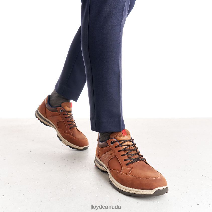 ENSOR LLOYD Men brown R084ZF394 Shoes