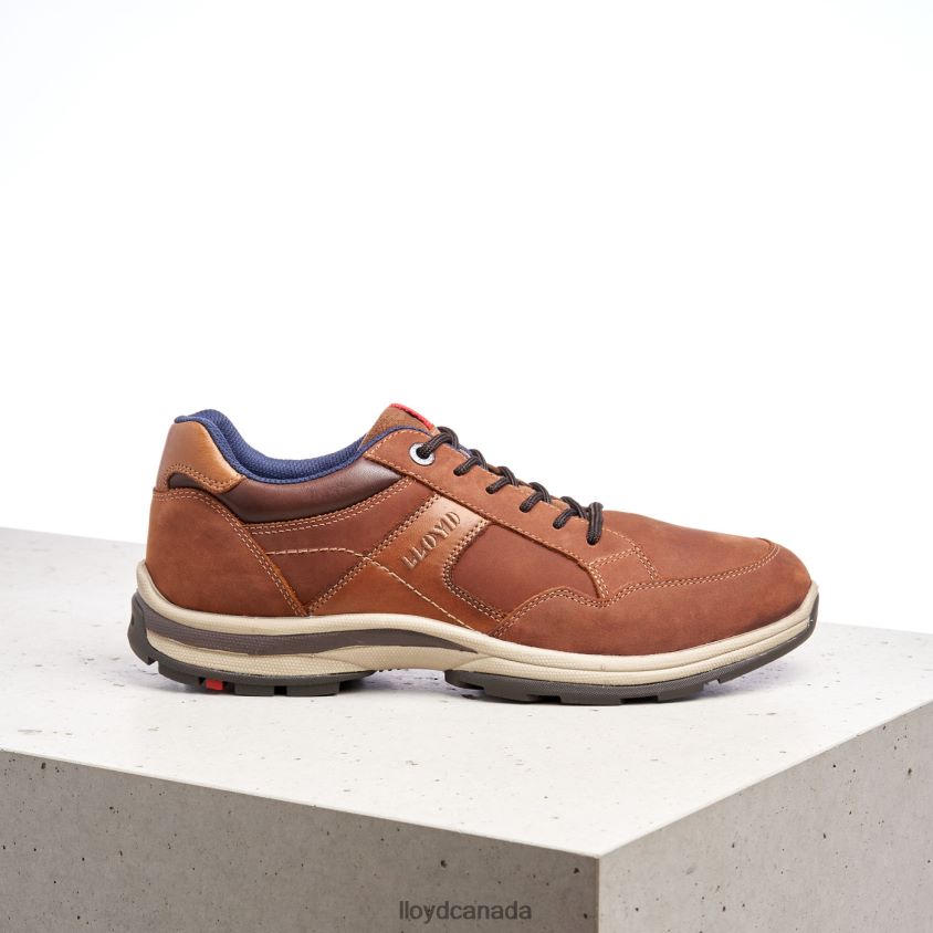 ENSOR LLOYD Men brown R084ZF394 Shoes