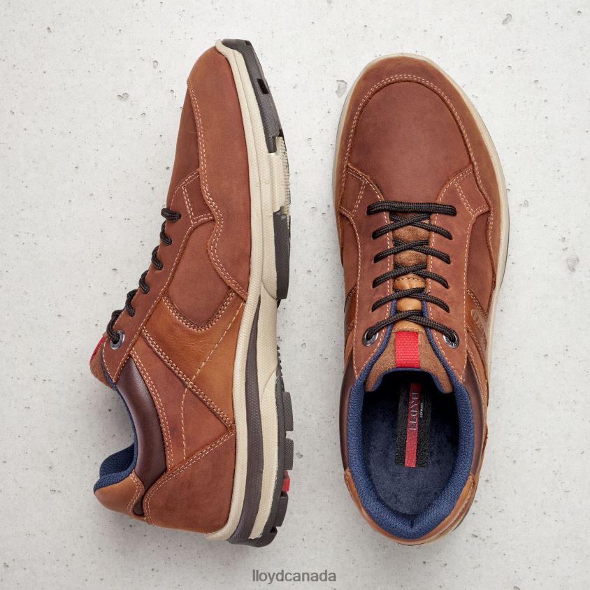 ENSOR LLOYD Men brown R084ZF394 Shoes