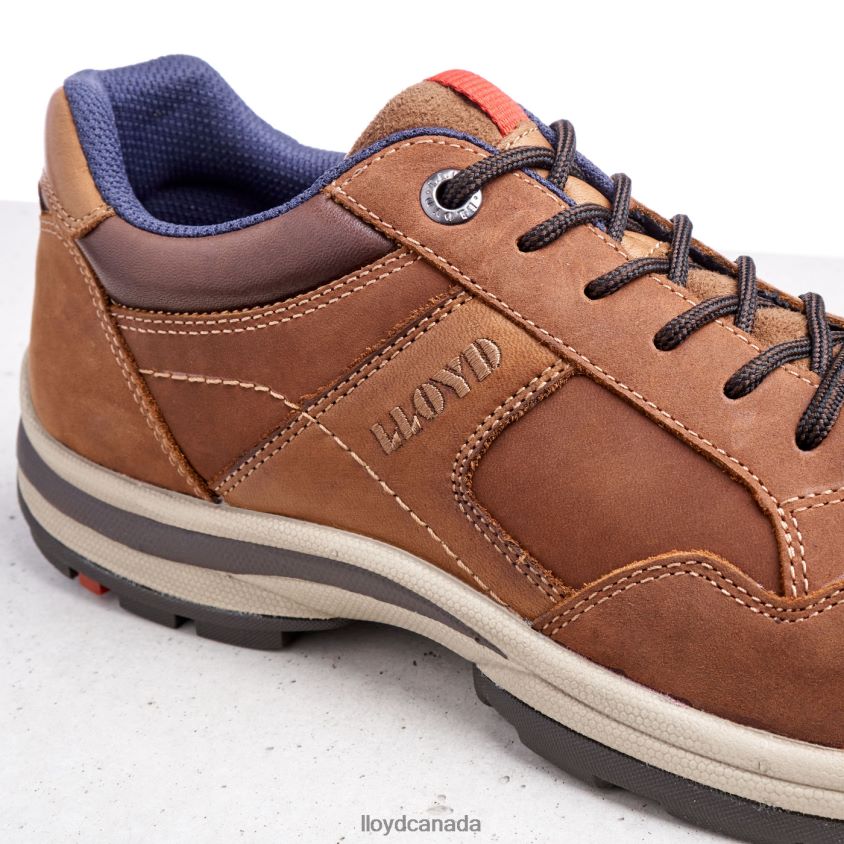 ENSOR LLOYD Men brown R084ZF394 Shoes