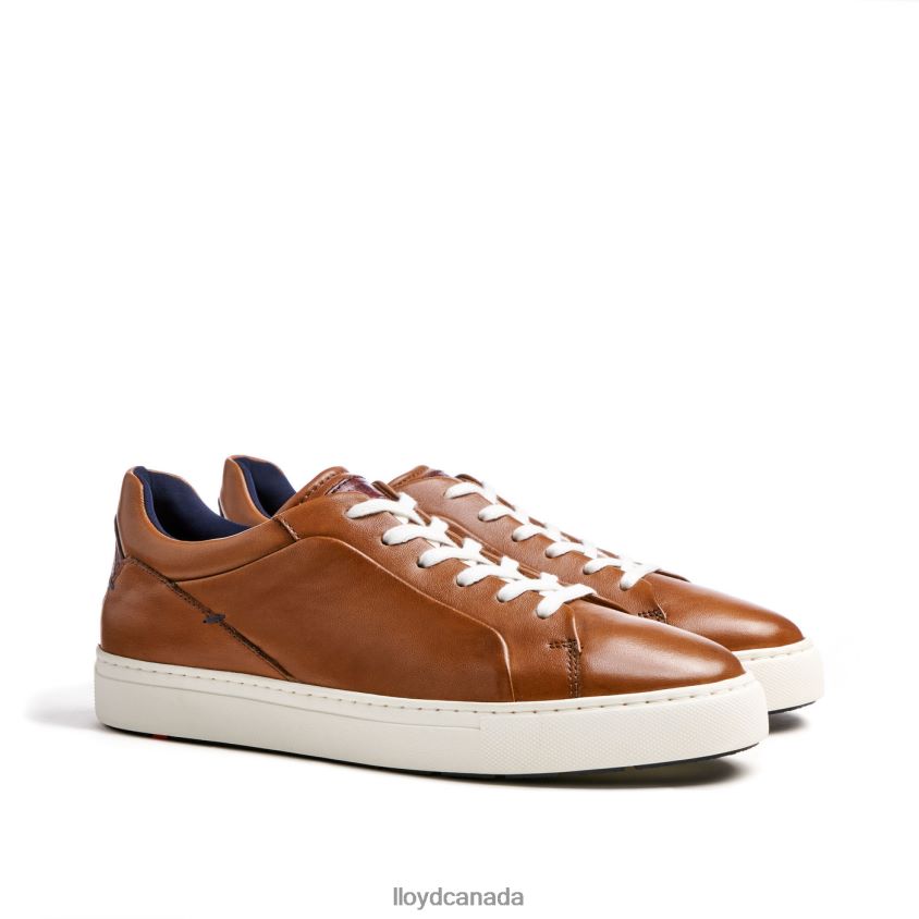 MAJURO LLOYD Men brown R084ZF258 Shoes
