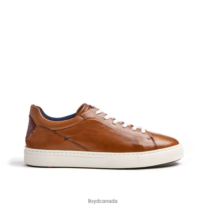 MAJURO LLOYD Men brown R084ZF258 Shoes