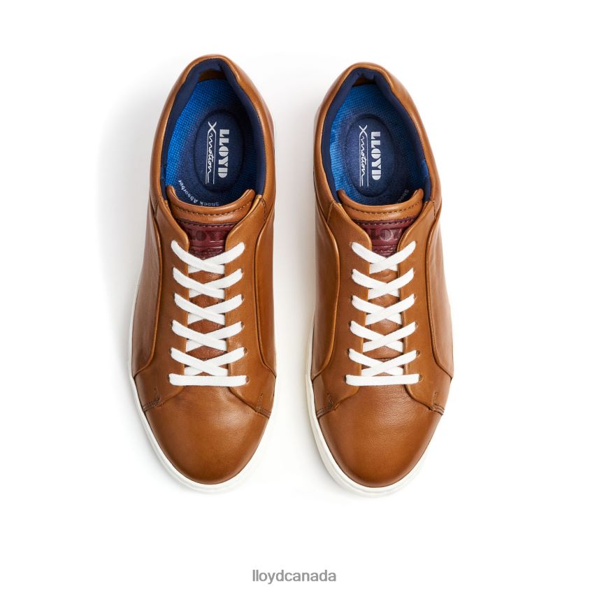 MAJURO LLOYD Men brown R084ZF258 Shoes