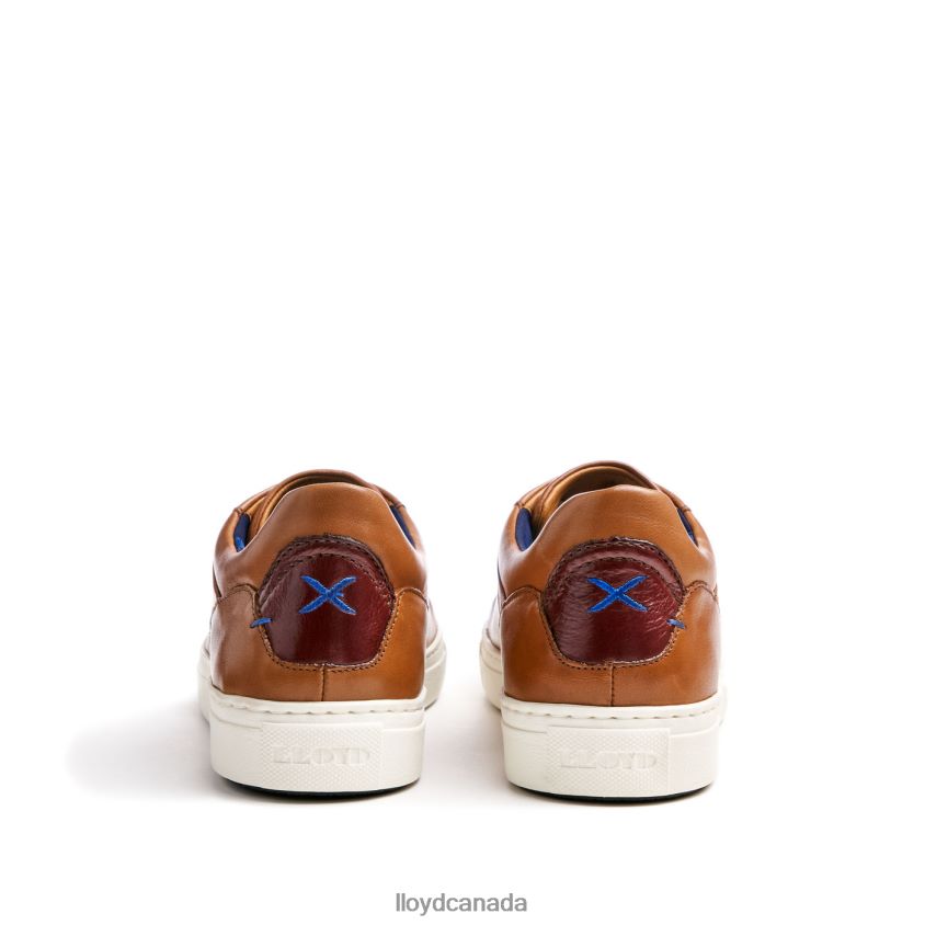 MAJURO LLOYD Men brown R084ZF258 Shoes