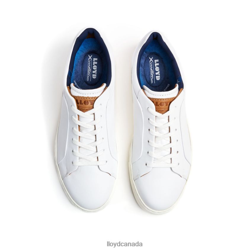 MAJURO LLOYD Men white R084ZF256 Shoes