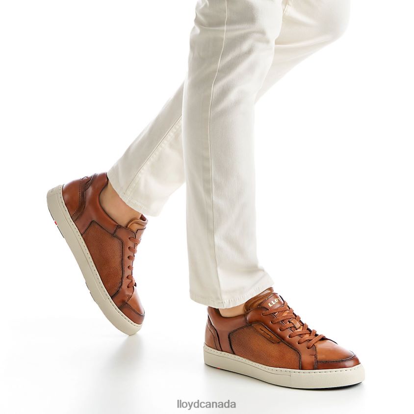 MALAGA LLOYD Men brown R084ZF1327 Shoes
