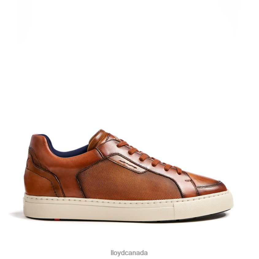 MALAGA LLOYD Men brown R084ZF1327 Shoes