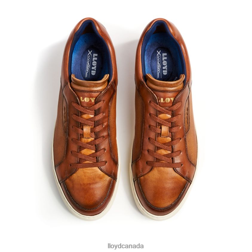 MALAGA LLOYD Men brown R084ZF1327 Shoes