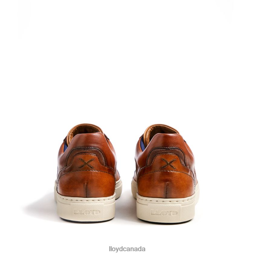 MALAGA LLOYD Men brown R084ZF1327 Shoes